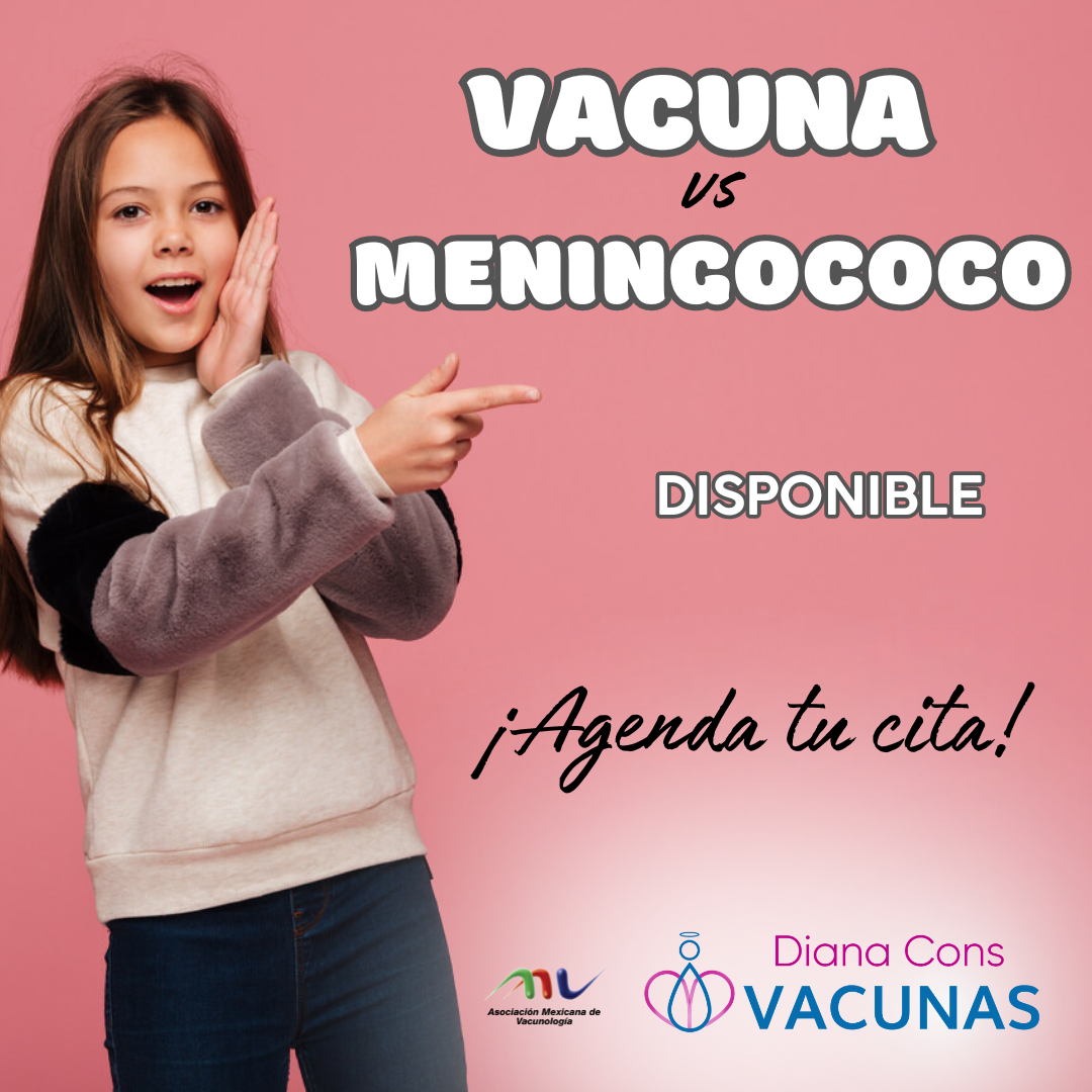 https://www.dianaconsvacunas.com/wp-content/uploads/2024/07/meningococo.png